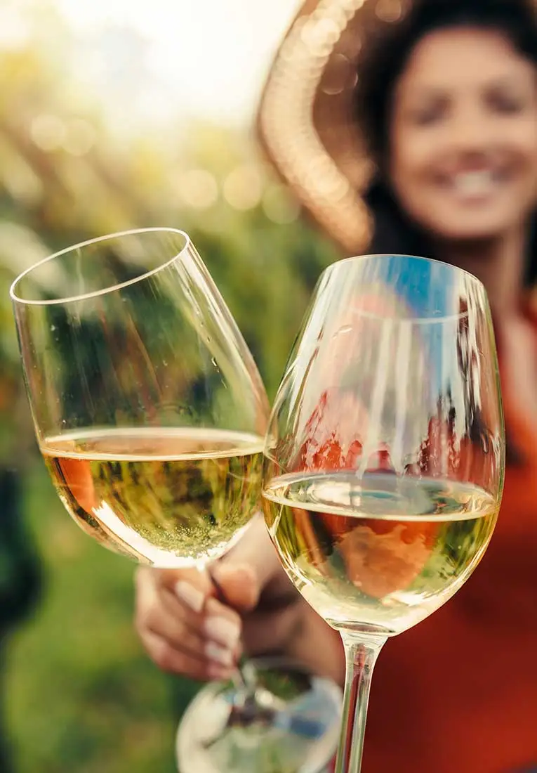 4x4 Coastal Safari and Vineyards