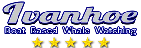 Ivanhoe Whale Watching