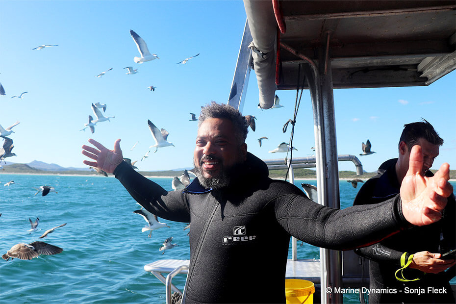 Top Reasons to Choose Our Unmatched Shark Diving Experience — view 3